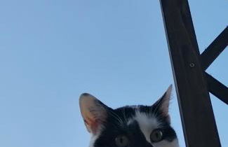 Haus mit Seele im Nahetal - Foto 55