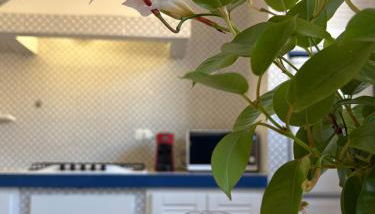 Nest - Family House - Foto 3