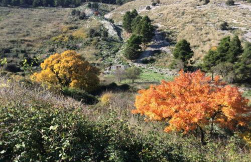 La casetta sulle nuvole. - Foto 20