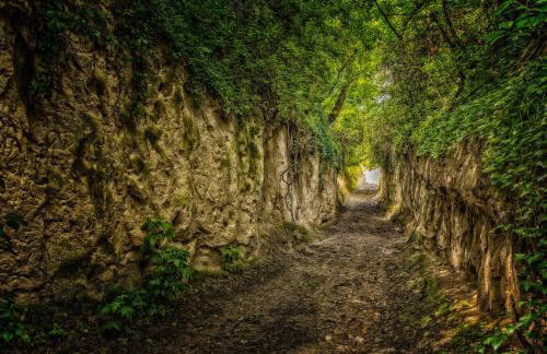 Dreiländereck am Kaiserstuhl - Photo 23