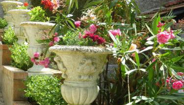 Il Viale - Foto 5, Garden