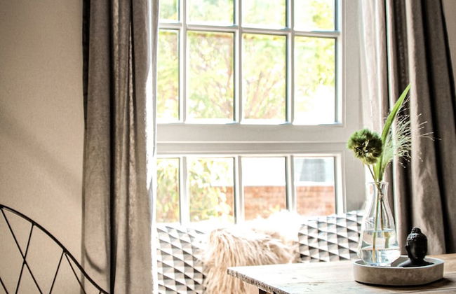 the backyard - Foto 24