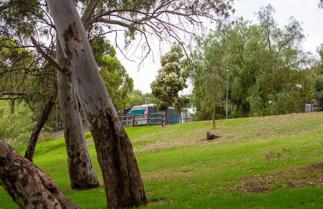 Echo Holiday Parks - Windsor Gardens - Foto 69