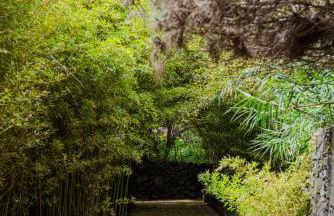 Caloura Suite - Photo 23