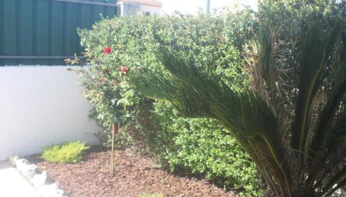 Arrabida´s Sweet Home - Foto 5