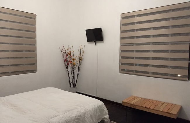 Suite Regina 94 - Photo 6