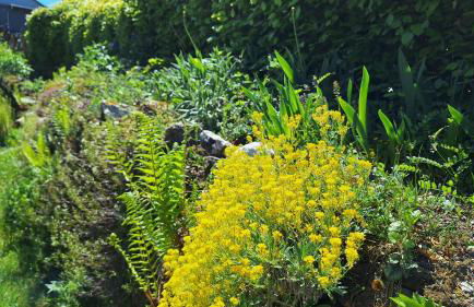 Ferienhaus Hinterlandswald - Foto 48