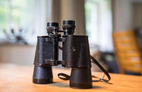 Ferienhaus Chalet an der Brettach - Foto 50