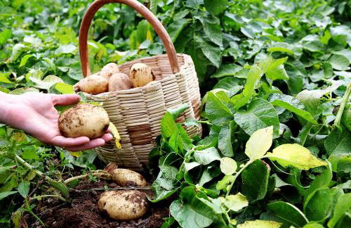 Agriturismo Il Raduno - Foto 111