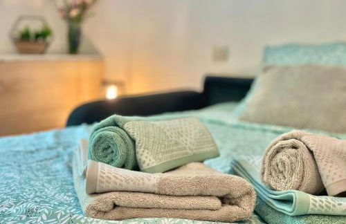 " Terrasse Téléo " Hôpital Rangueil - Pech David - Foto 16