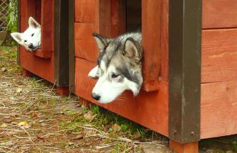 Holiday Apartment in the Countryside, Biskupice - Foto 41