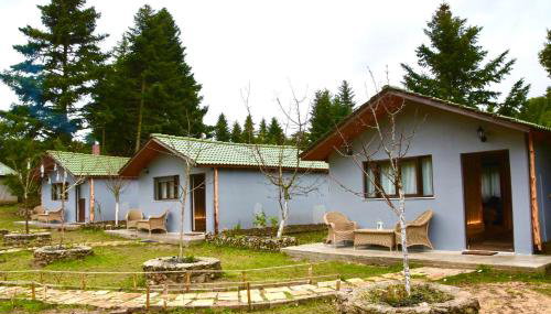 Νύμφες Σαλέ Αλκυόνη - Foto 3