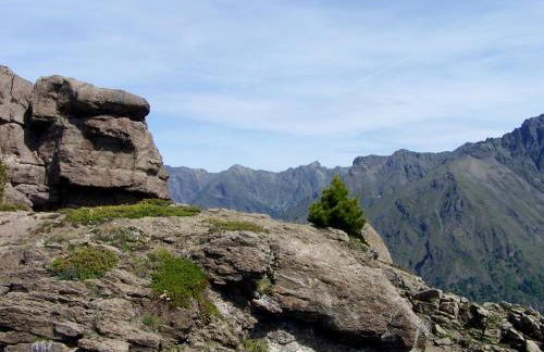 Chalets Shangrila - Foto 44