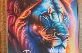 Cabanas da Faby - Foto 5