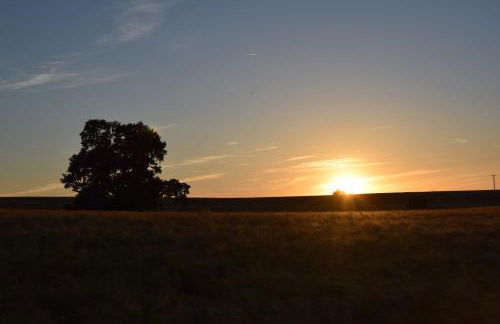 Alpakatherapie und Ferienhof Charlottenthal - Foto 30