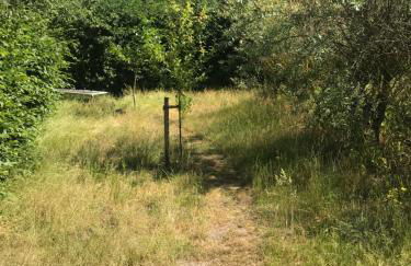 Gemütliche Ferienwohnung an der Elbe - Foto 6