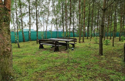 Leśny Zakątek Lipinki Bory Tucholskie - sauna - Foto 24