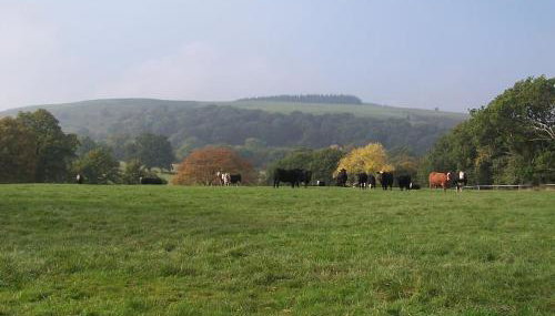 Cosy and quiet one bed barn conversion. - Photo 5