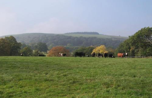 Stunning cottage nestled under the Longmynd Hills. - Foto 23