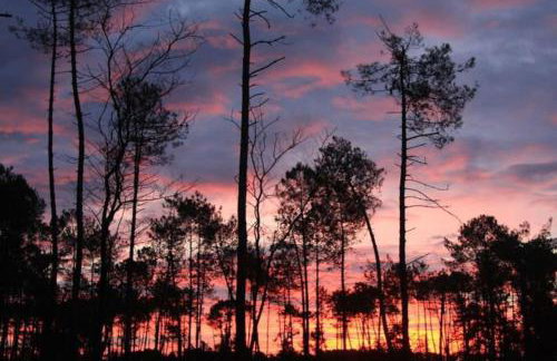 BEACH HOUSE DE CHARME A MESSANGES. LA MAISON BLEUE - Photo 34