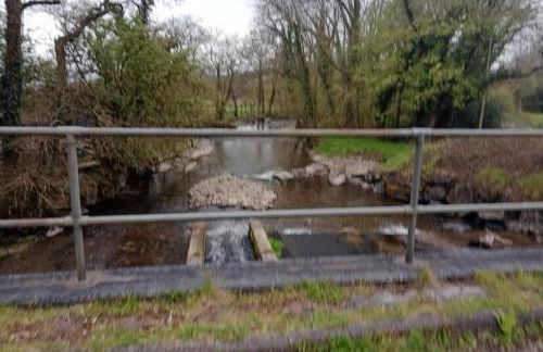 Chandler Ranch Llandovery Cynghordy - Foto 39