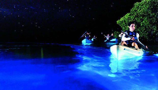 Remando sotto le stelle