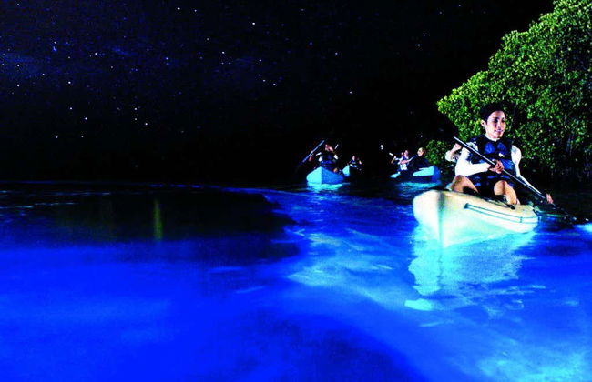 Tour del plancton bioluminescente in kayak + Osservazione delle stelle - Foto 3