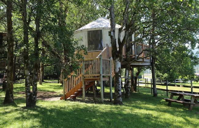 Out 'N' About Treehouse Treesort - Photo 14