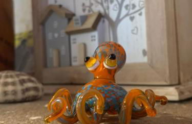 Il polpo blu - Foto 64