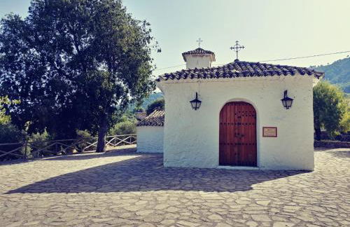 Vtar Pilar 3 - Foto 25