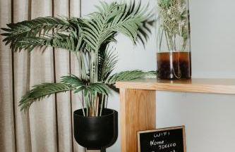 Casa das Nogueiras - Foto 15