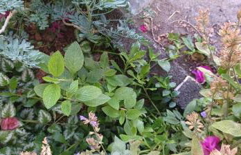 Casa do ti' Marrão - Photo 36