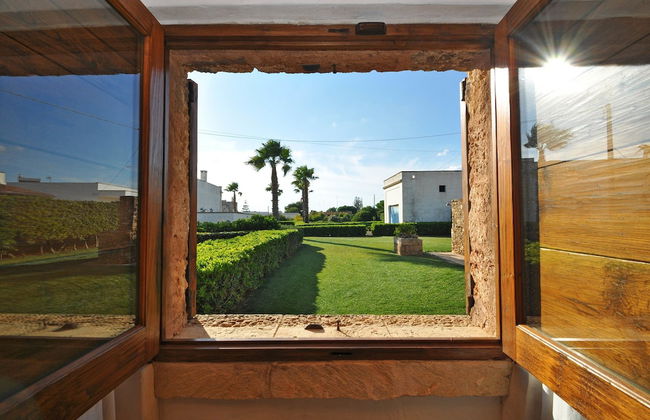 Trullo Venneri - Foto 15