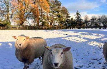 Poplar farm annexe - Foto 11