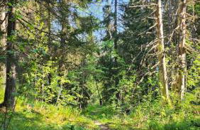 les Grands Balcons de l'Etale - Photo 18