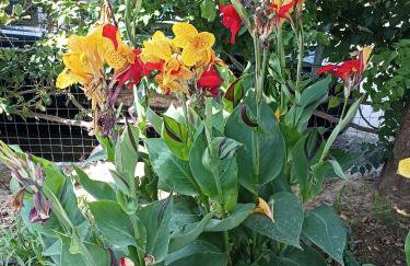 Helena's Apartment 2 Agia Triada - Foto 7