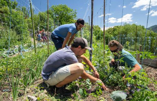 Les chambres de la ferme de chalas - Foto 13