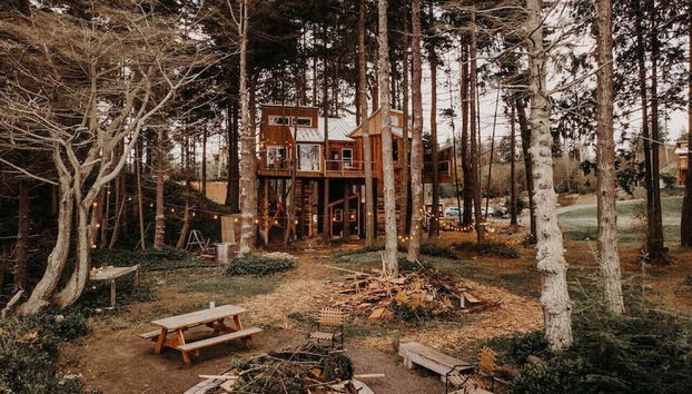 Treehouse-Small Eagles Perch over the water - Foto 2, Imagen principal