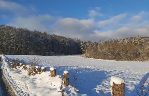 Ferienwohnung Eifelrose - Foto 30