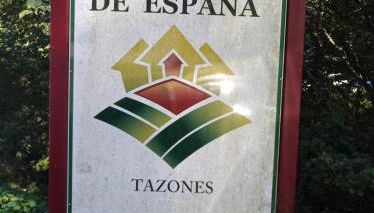 Tazones 79 VUT6993AS - Foto 3