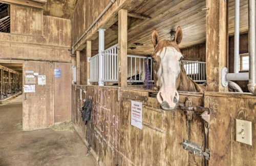 Charming Farmhouse with Pool and Fishing Pond! - Foto 40