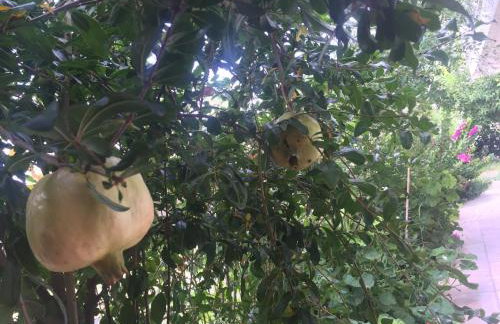 Best location in Vrachati - Photo 27