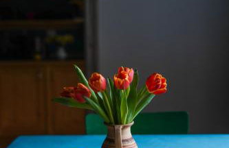 Siedlisko Otulenie - Photo 32