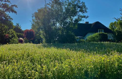 Ferienwohnungen Bosbuell Huus - Foto 41