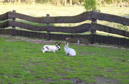 Agroturystyka Biebrzańska Kraina - Foto 25