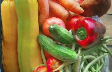 FORMA Apartament Supraśl - Foto 51