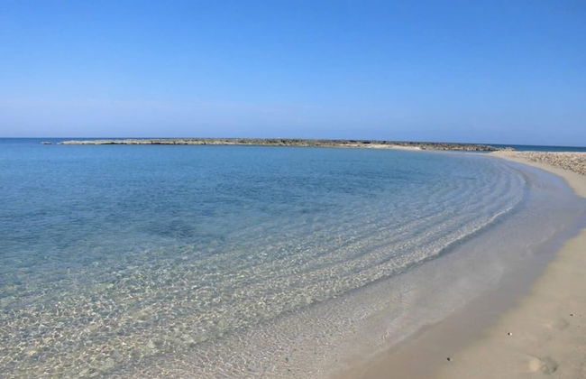 Holiday rental in Cárdenas with garden and terrace - Photo 50