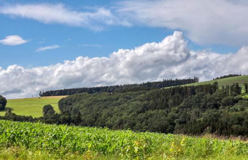1 Bedroom Lovely Apartment In Irrhausen - Foto 23