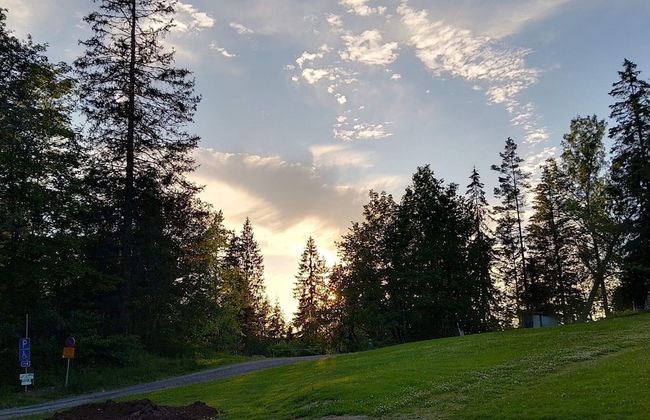 4 Person Holiday Home in Dals Rostock - Foto 13