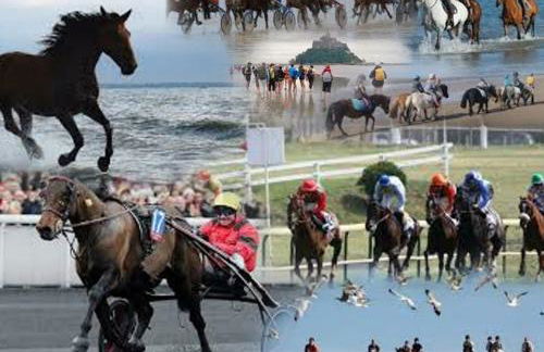 Studio Les Pieds dans l'eau - Foto 64